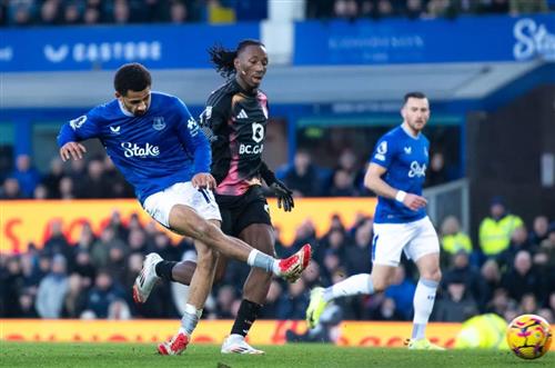 Everton gegen Leicester City