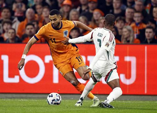 Niederlande gegen Ungarn