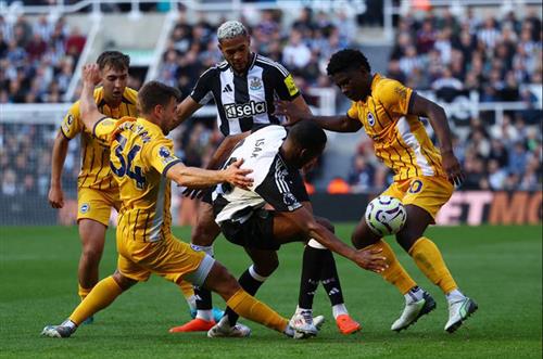 Newcastle United gegen Brighton