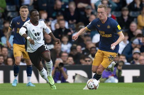 Newcastle United gegen Fulham