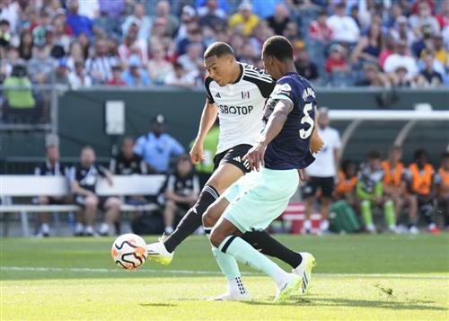 Fulham gegen Brentford