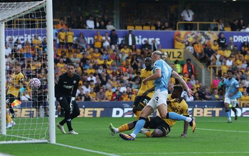 Wölfe gegen Manchester City