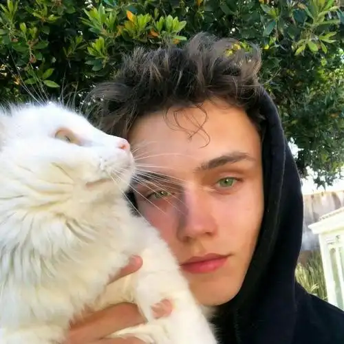 6686体育特邀作者尐兎兎