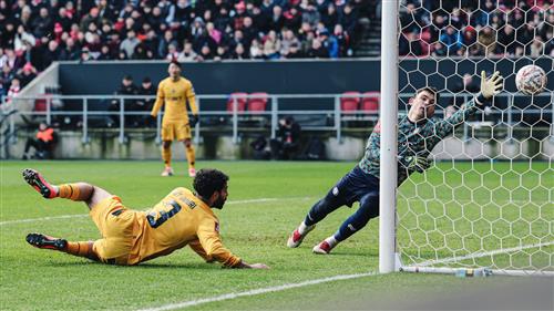 Bristol City gegen Wolves