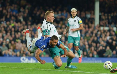 Everton gegen Newcastle United