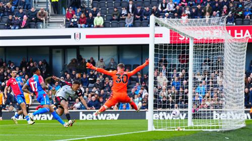 Fulham gegen Crystal Palace