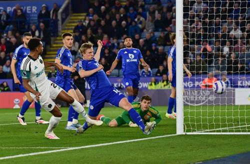 Leicester City gegen Newcastle United