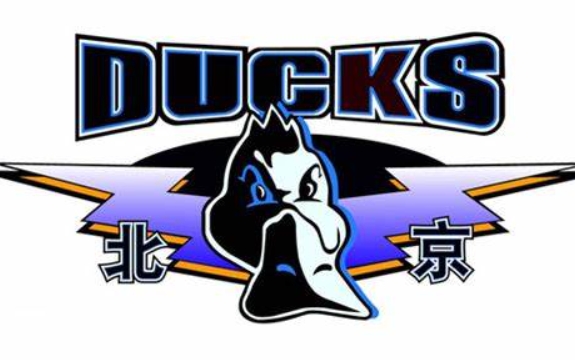 Medienvertreter: Die Heimspielorte des Pekinger Herren-Basketballteams für die neue Saison sind die Shougang Ice Arena und das Wukesong Gymnasium