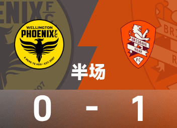 A-League-Halbzeit: Vidic konterte und punktete, Wellington Phoenix vorübergehend 0:1 Brisbane Roar