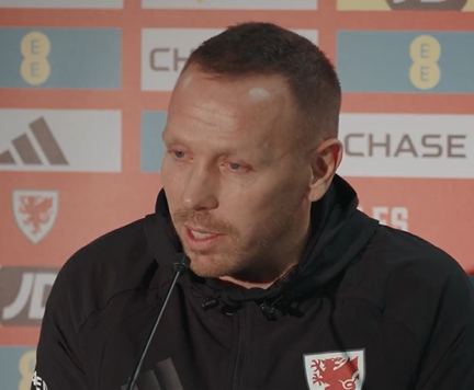 Der Trainer von Wales verpasste aufgrund einer Sperre das Kommando an der Seitenlinie, und Wilson verpasste das Spiel gegen Liechtenstein aufgrund einer Sperre